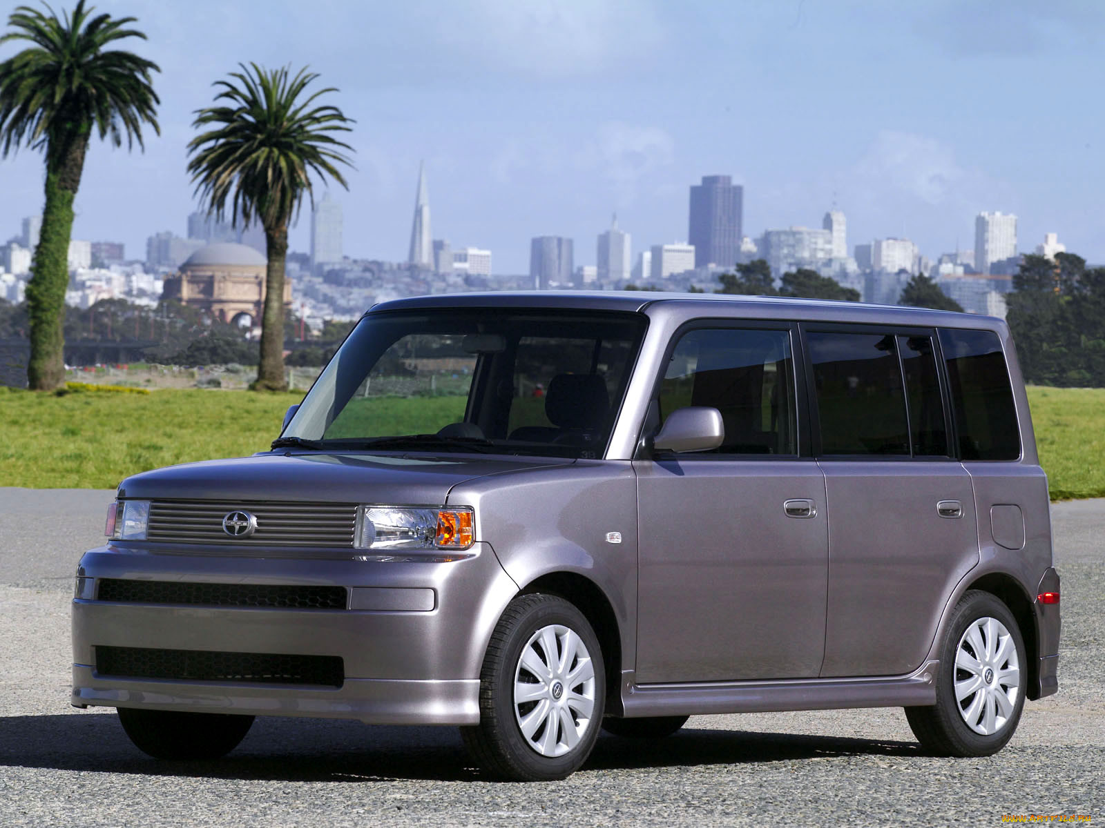 , scion